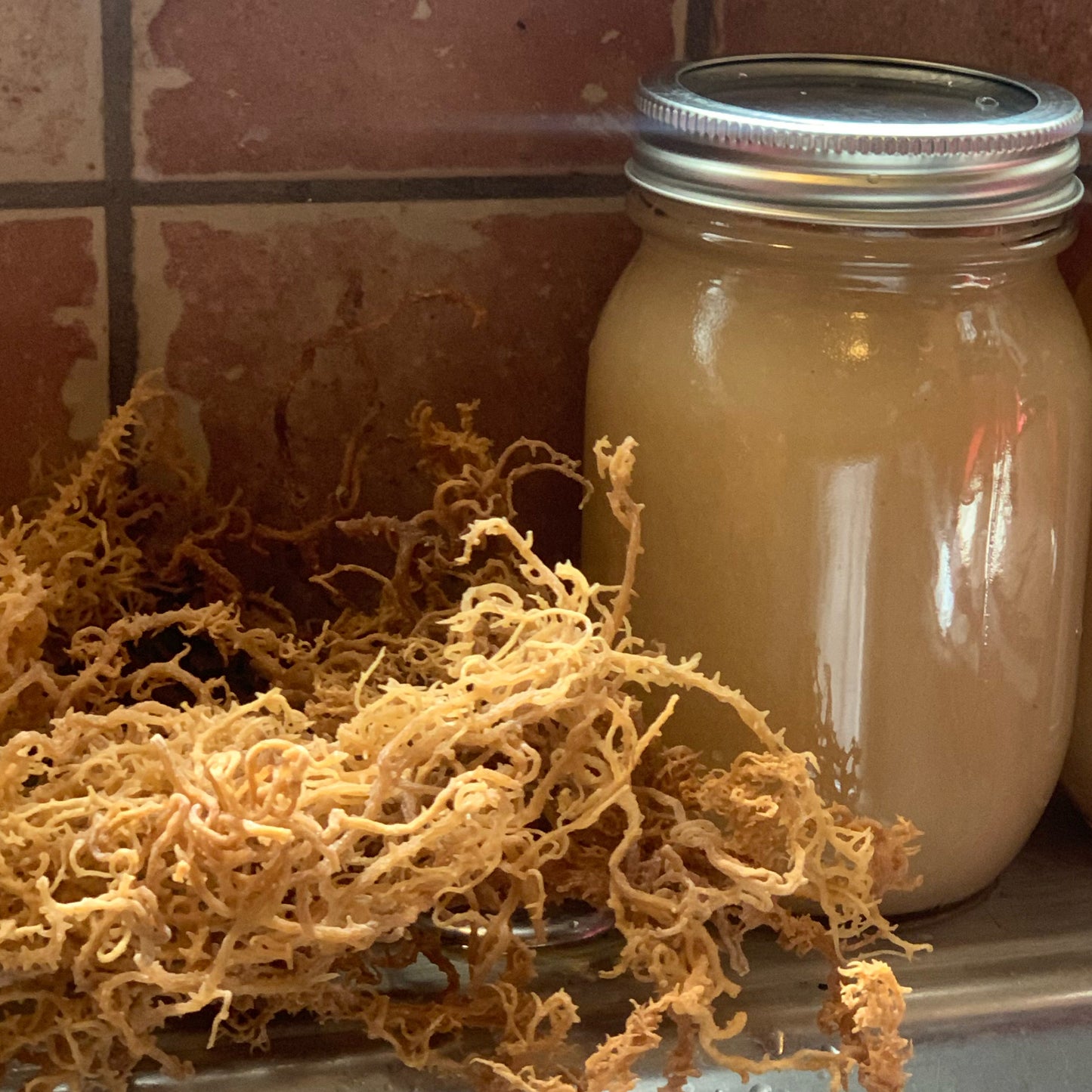 Sea Moss Gel (16.oz)